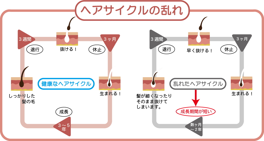 ヘアサイクル