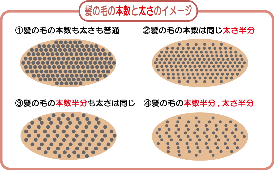 髪の毛の太さと本数