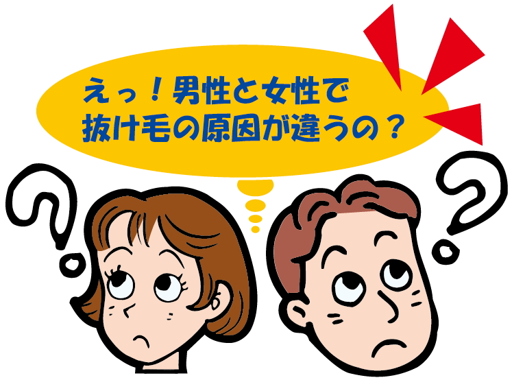 女性と男性の抜け毛の原因のちがい
