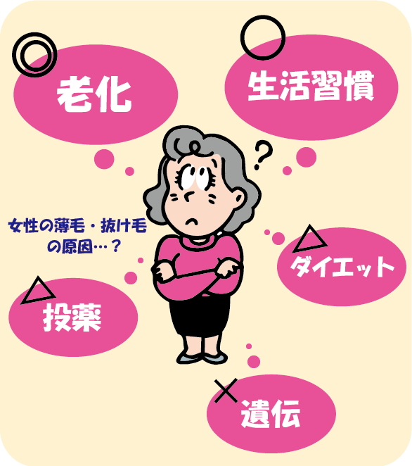 薄毛の原因